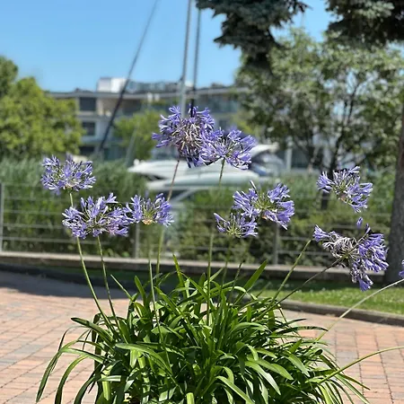 Remora Балатонсемеш